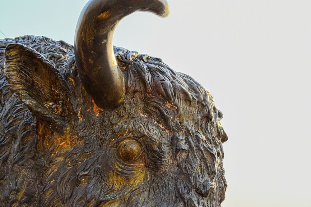 Dark buffalo statue at Painted Desert Indian Center