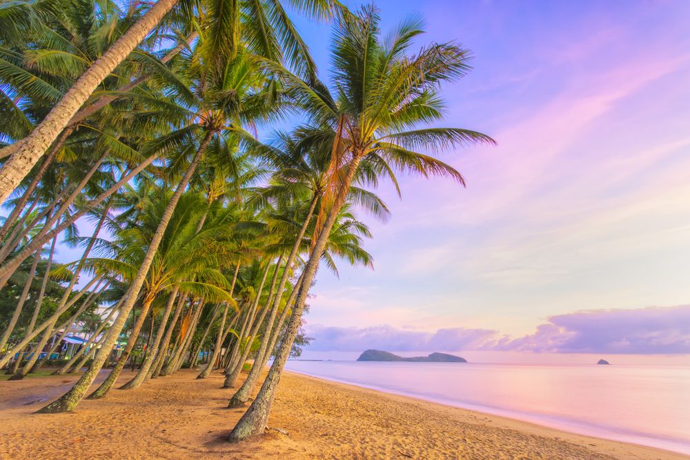 Scenic view of Palm Cove