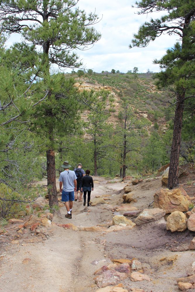 Hikers at Palmer Park