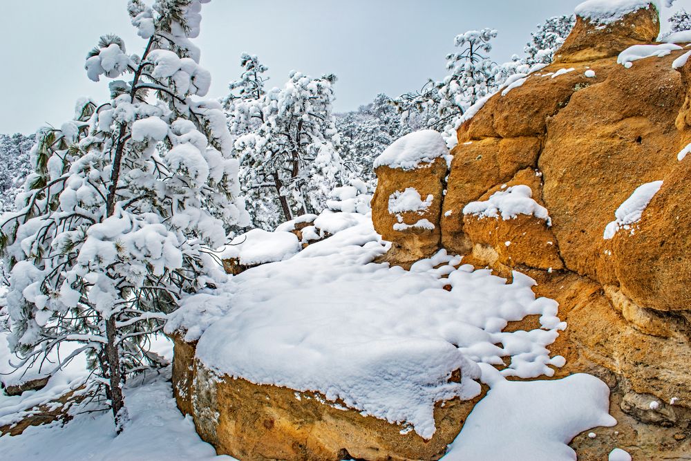 Palmer Park during winter