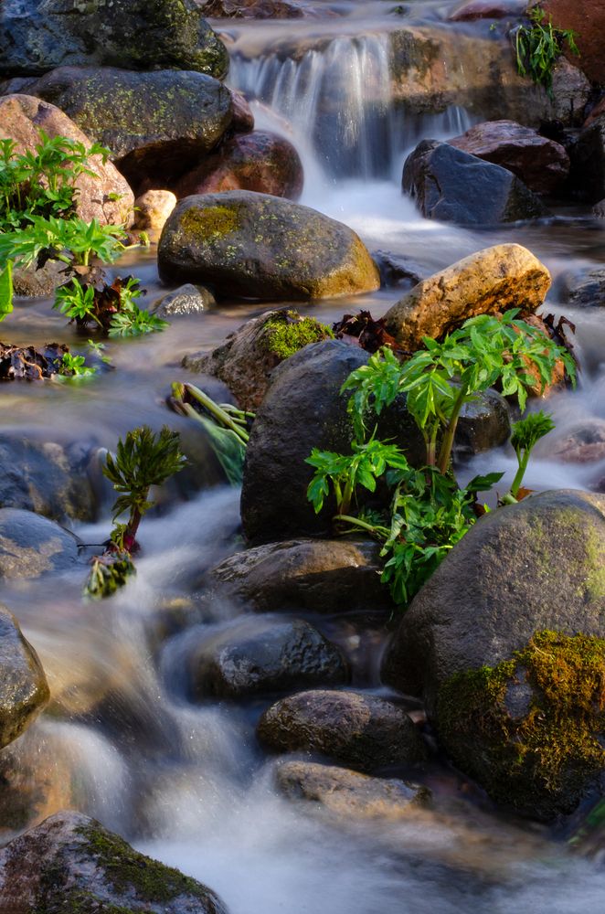 Small waterfall at Parfrey's Glen