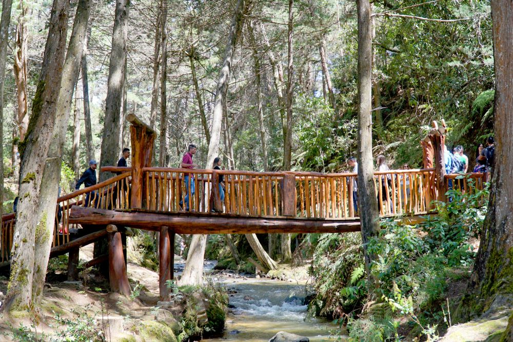 Parque Avi in Medellin