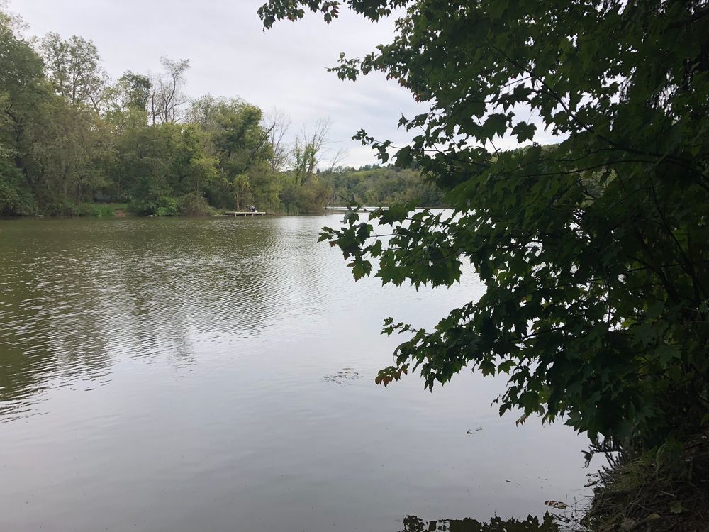 Scenic view of the Peters Lake Park