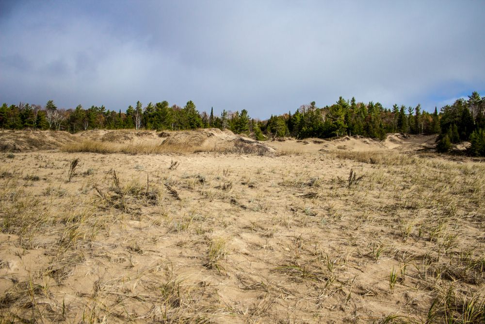 Sand dunes on the shore at Petoskey State Park