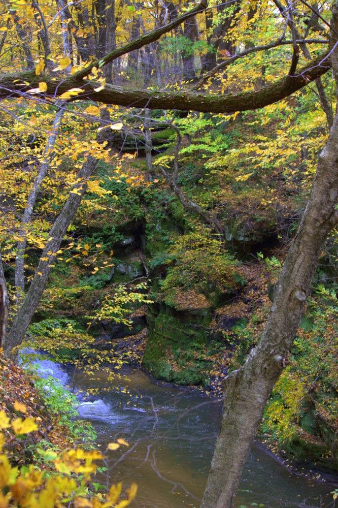 Stream at Pewit’s Nest