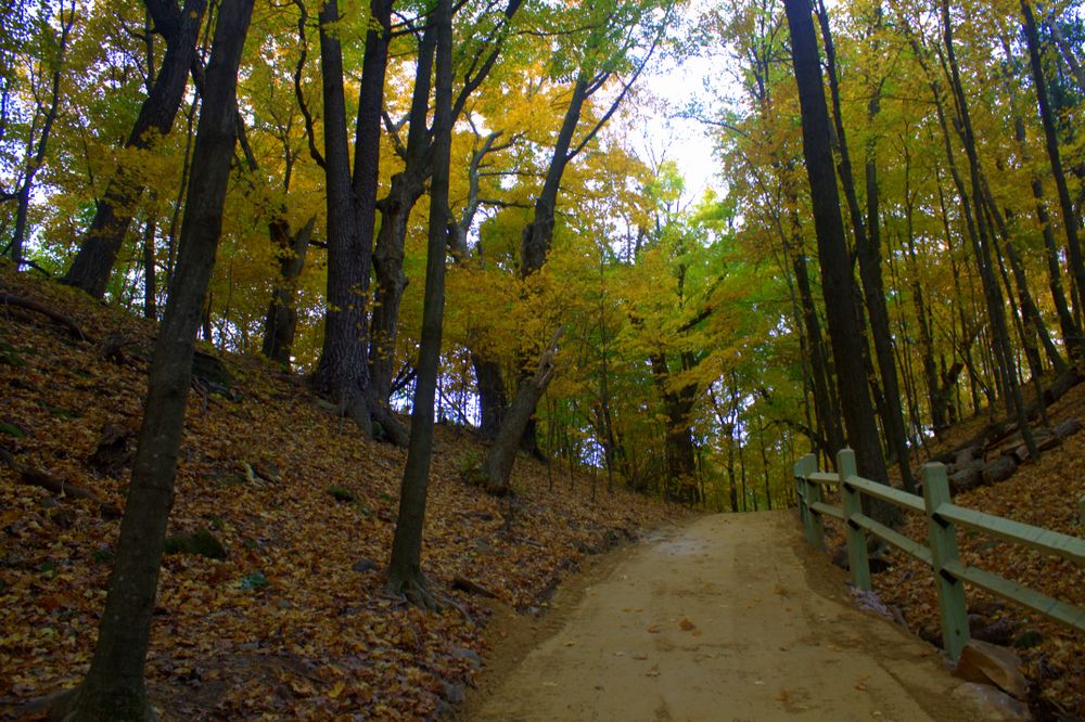Nature trail at Pewit’s Nest