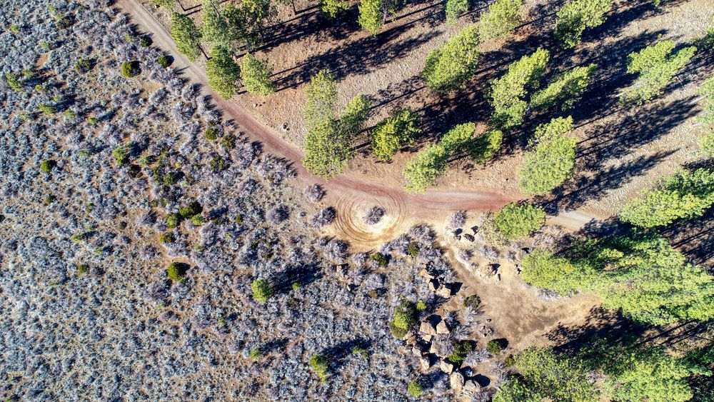 Aerial view of the Phil’s Trail