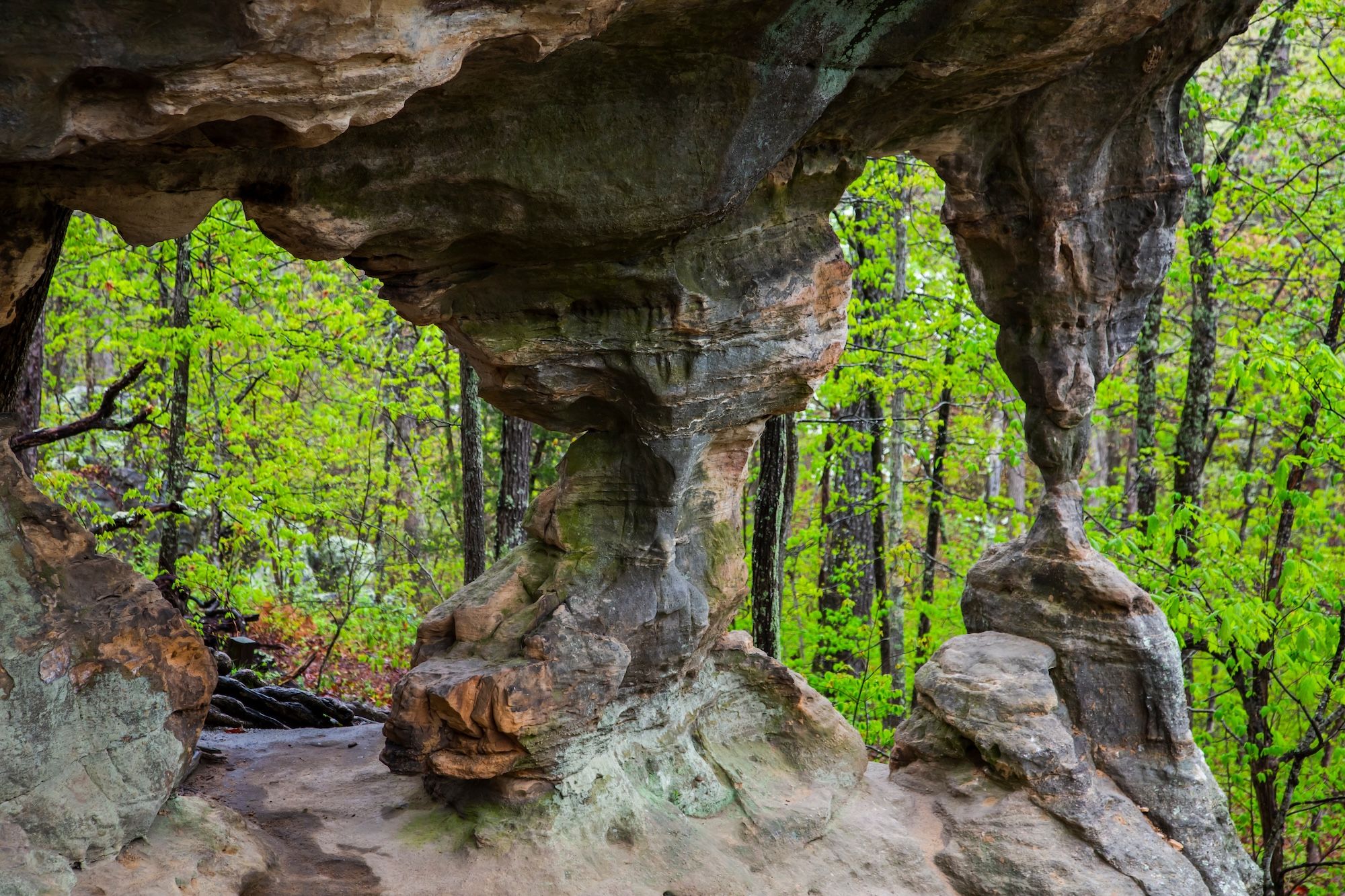 Pickle Springs Natural Area