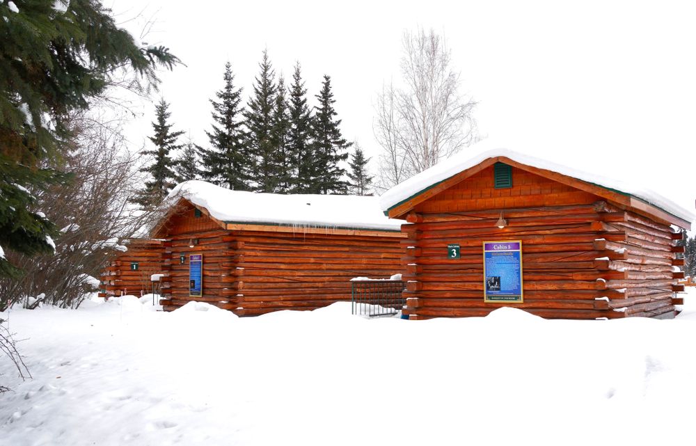 Cabins at Pike's Waterfront Lodge