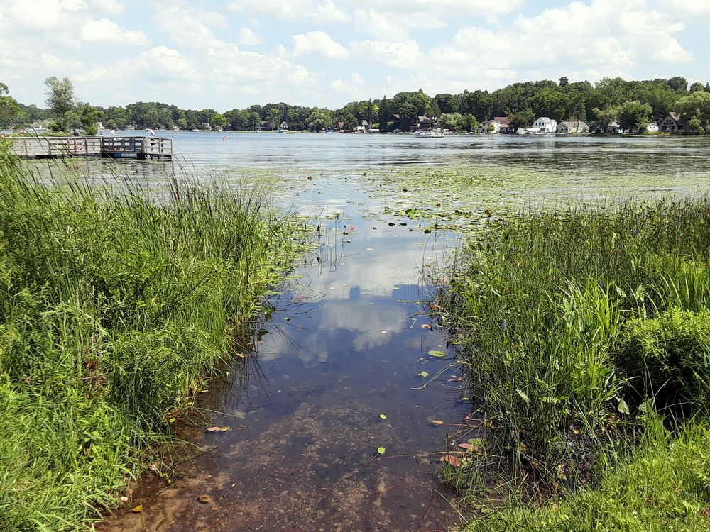 View of the lake at Pinckney State Recreation Area on a summer day