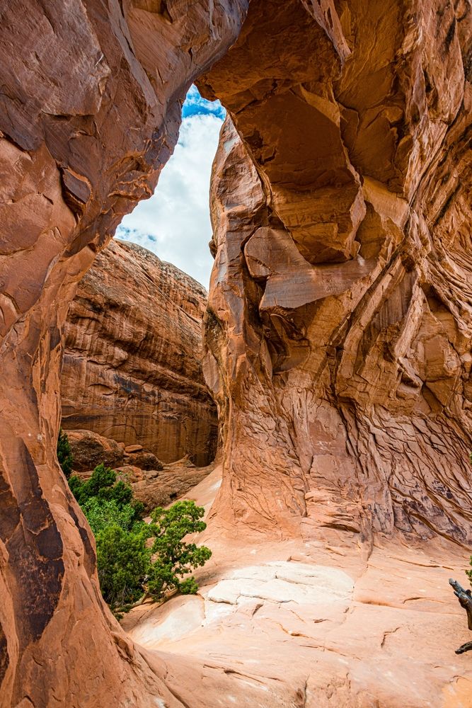 Trail along the Pine Tree Arch