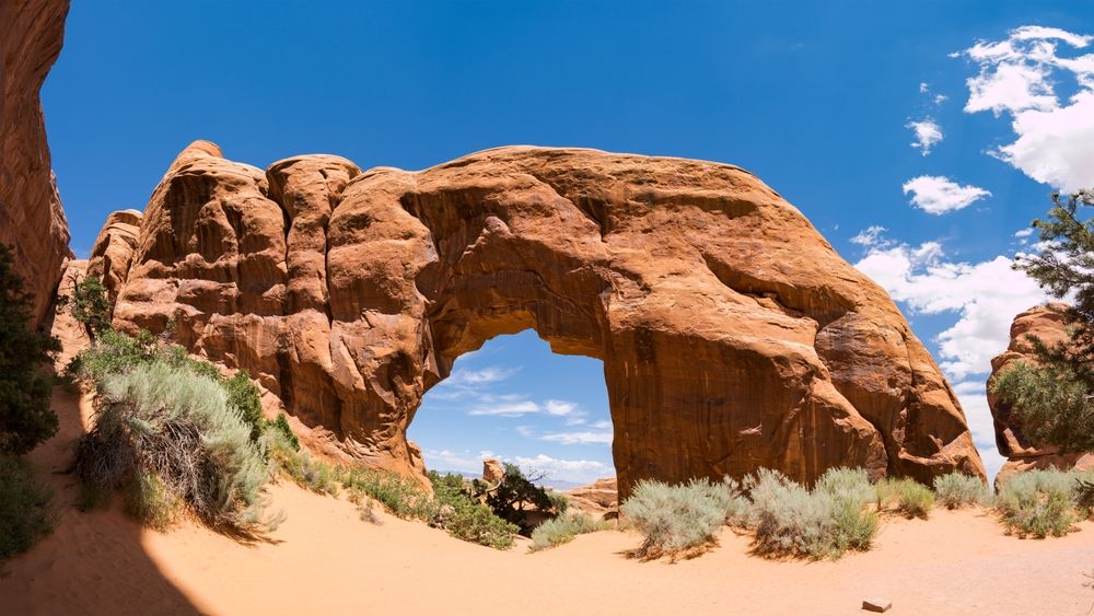 View of Pine Tree Arch