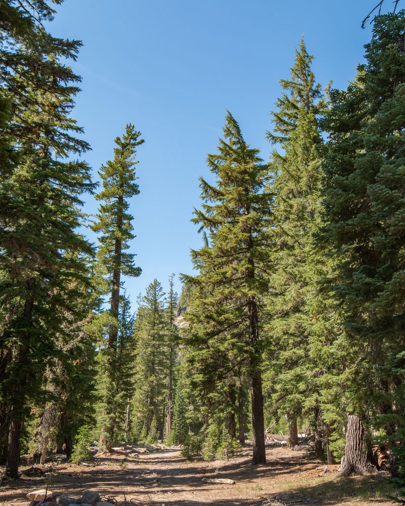 Trail at Plaikni Falls