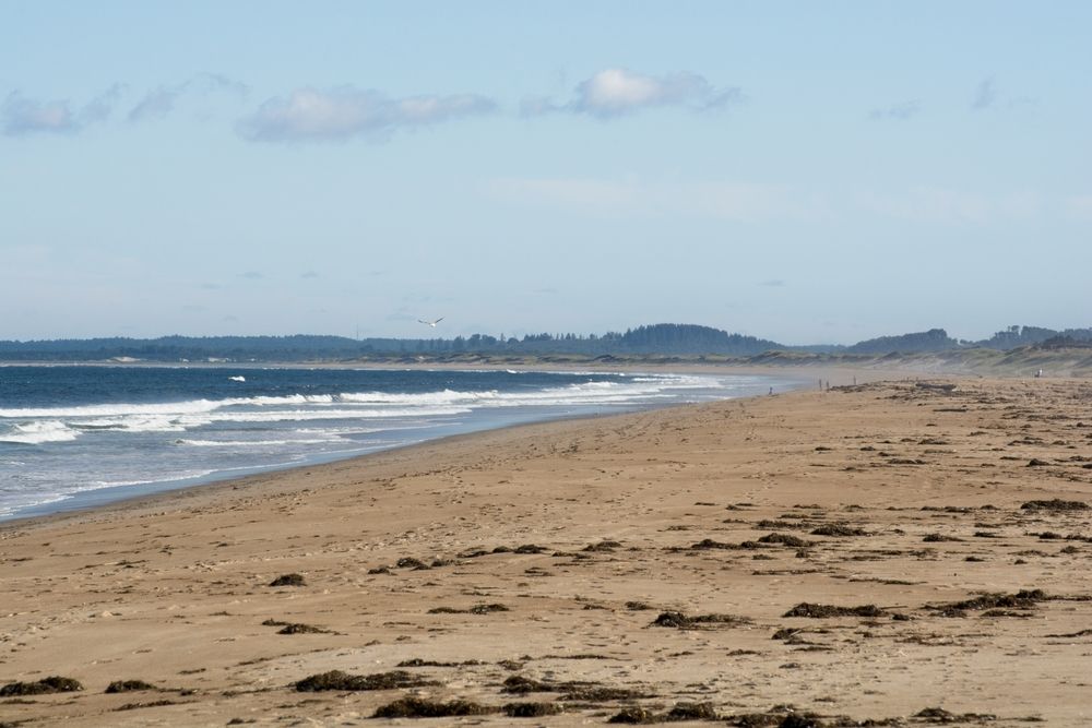 Waves crashing on the shores of Plum Island Beach