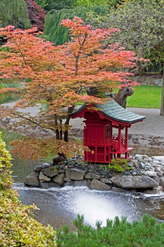 Japanese garden at the Point Defiance Park