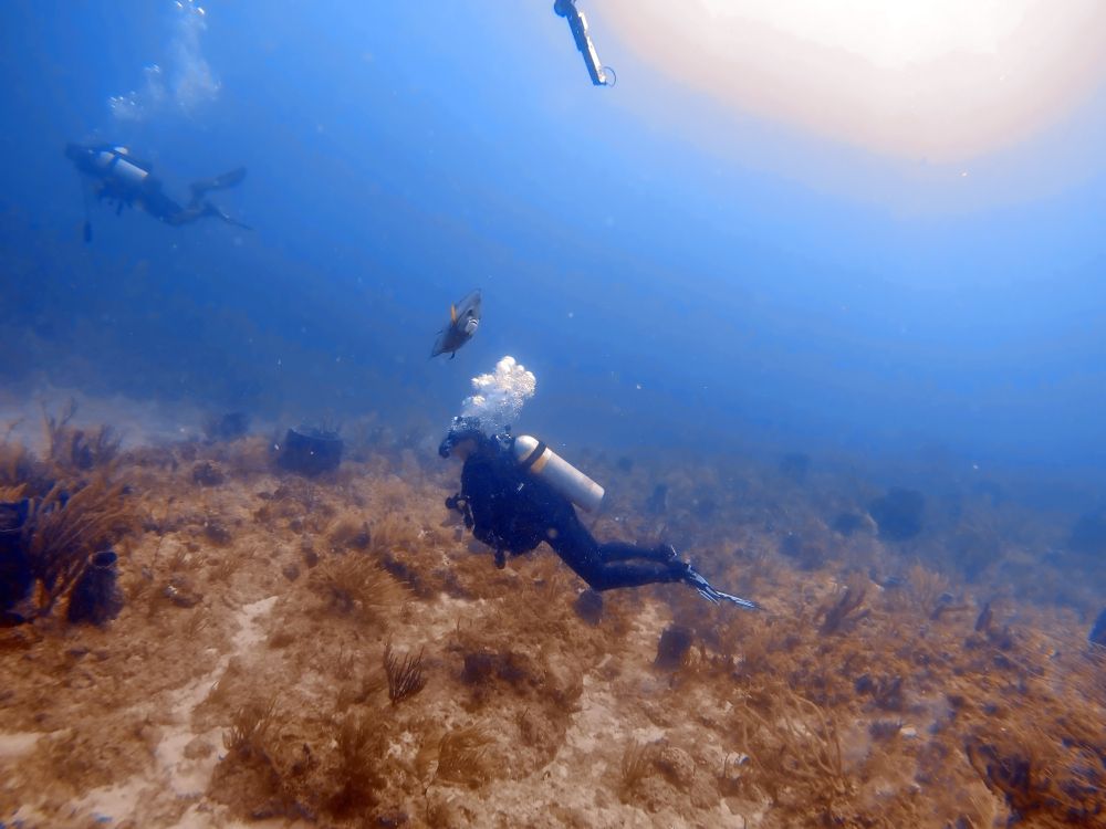 Scuba diving at Pompano Beach
