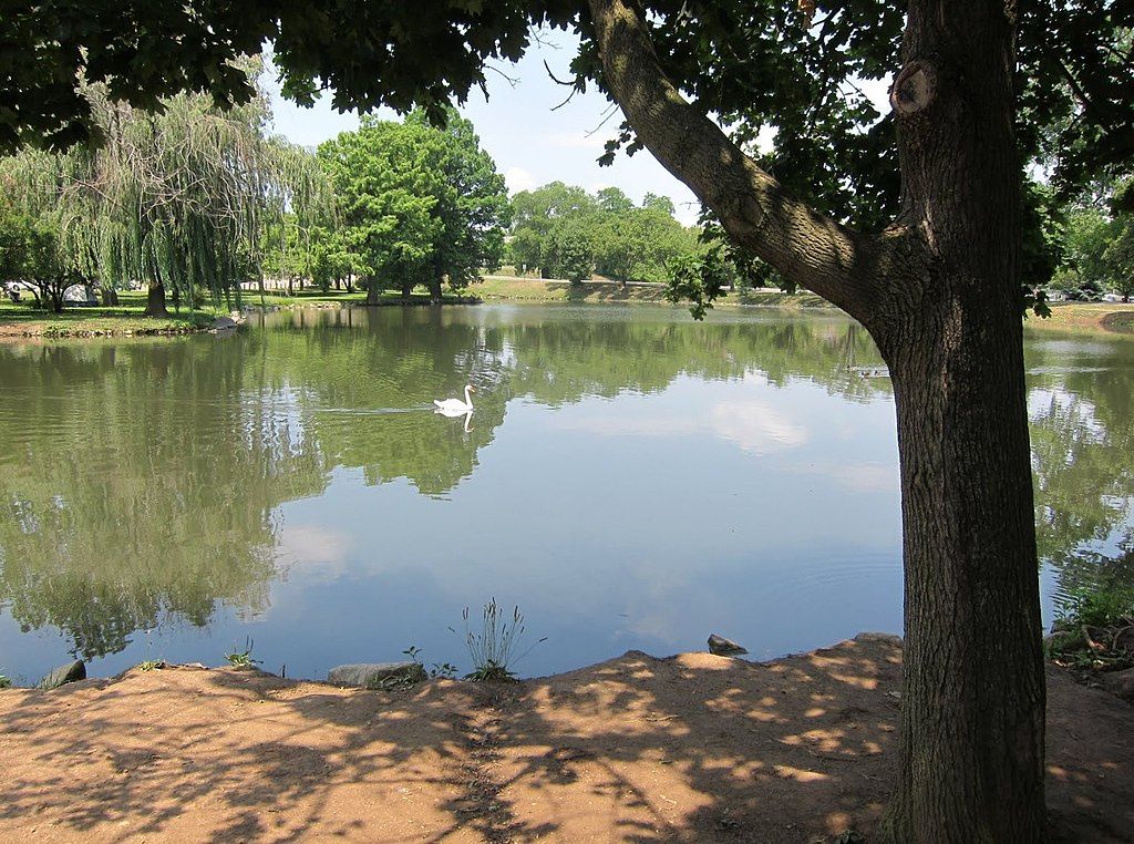 Pond at Yoctangee Park