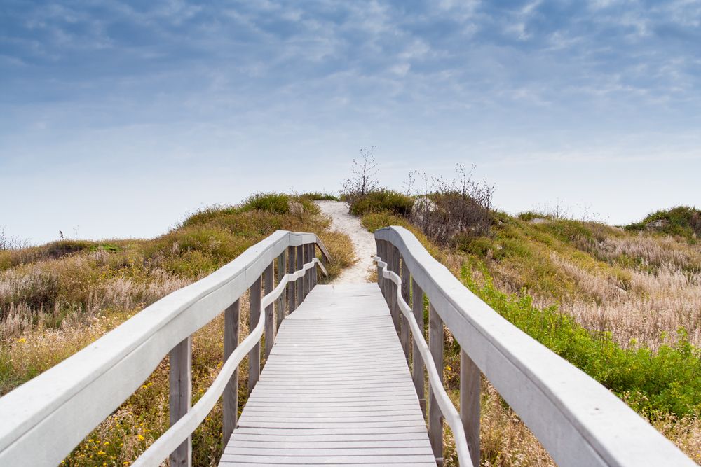 Sand dunes at Port Aransas Beach
