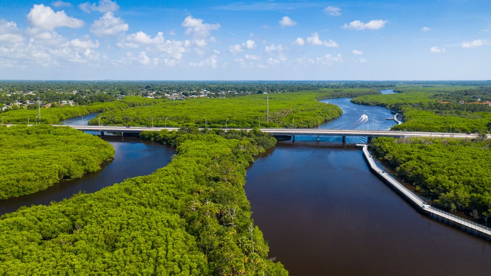 Aerial view of Port St. Lucie Botanical Gardens