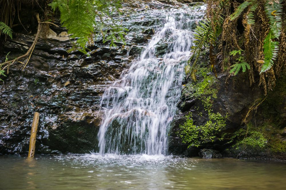 Waterfall at the Portola Redwoods State Park