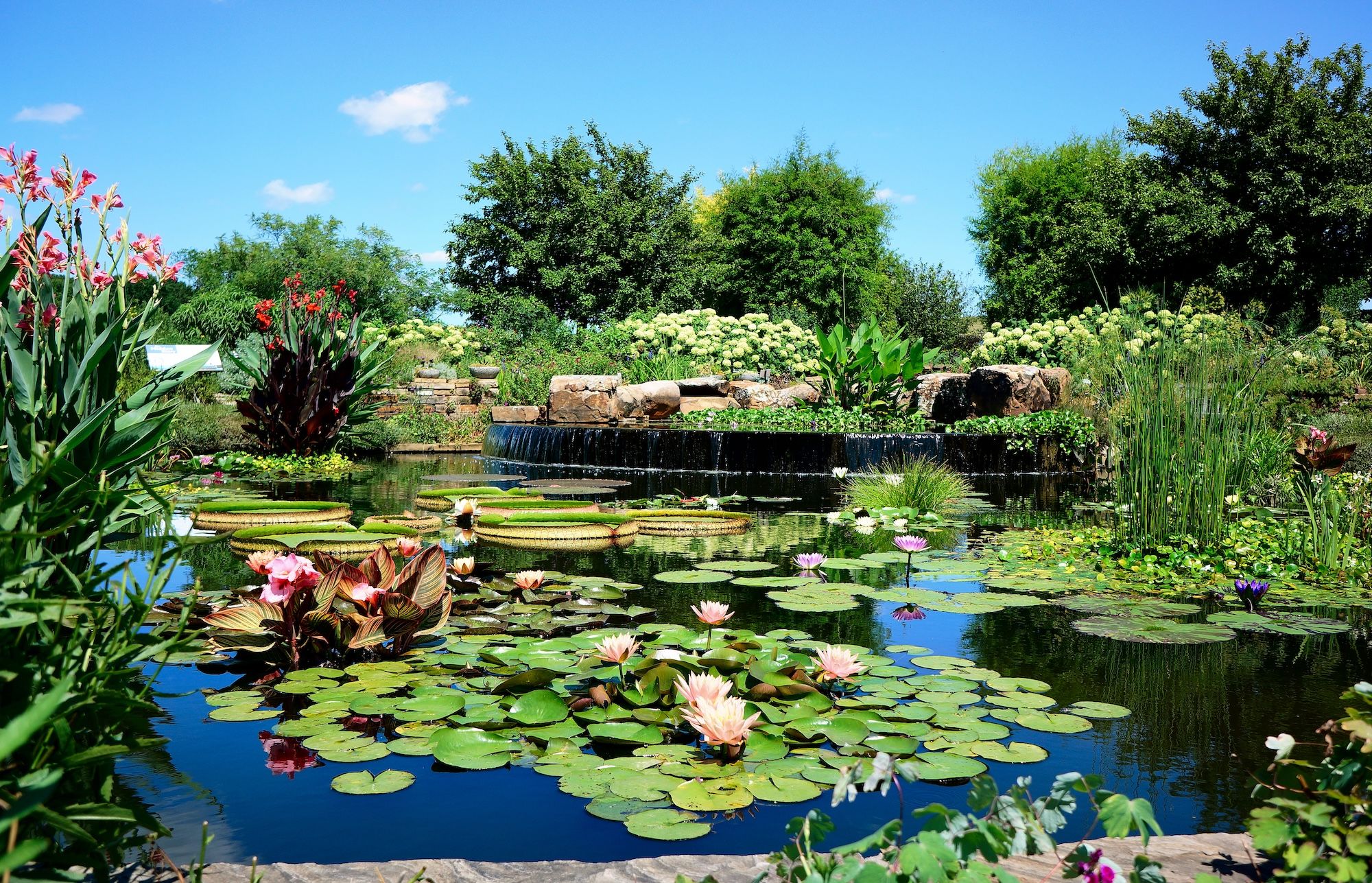 Powell Gardens