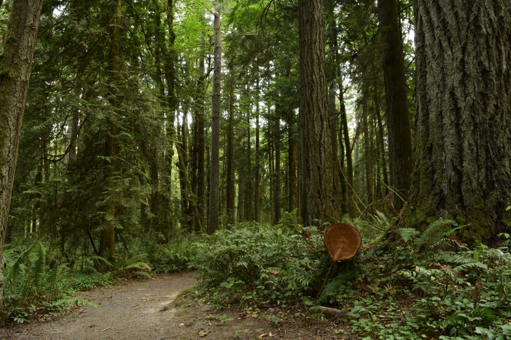 Priest Point Park