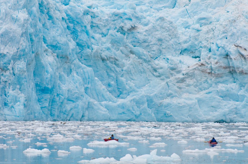 People kayaking at the Calm Waters of Prince William Sound