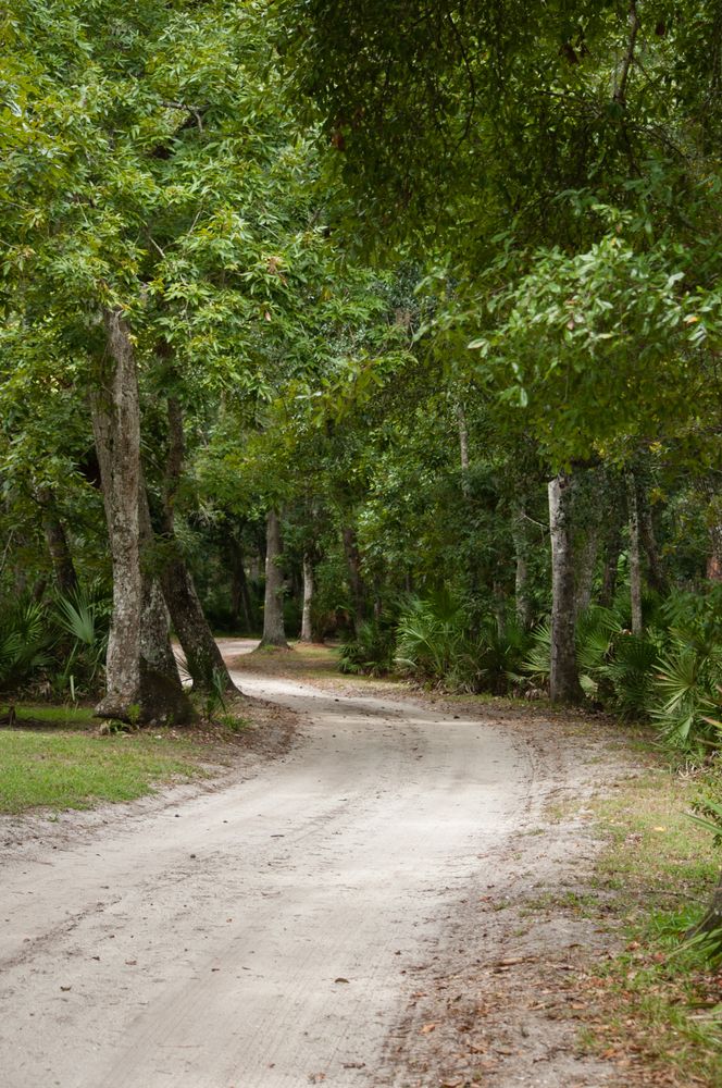 Hiking trail at Princess Place Preserve