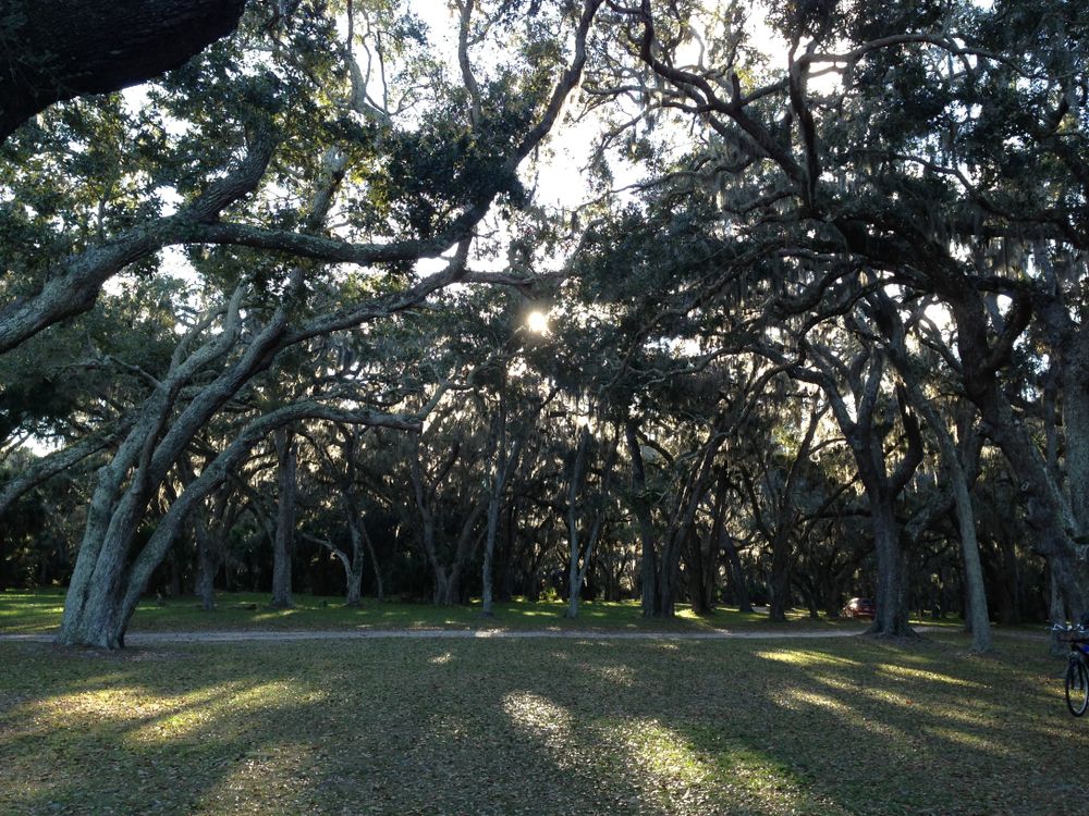 View of Princess Place Preserve on a sunny day