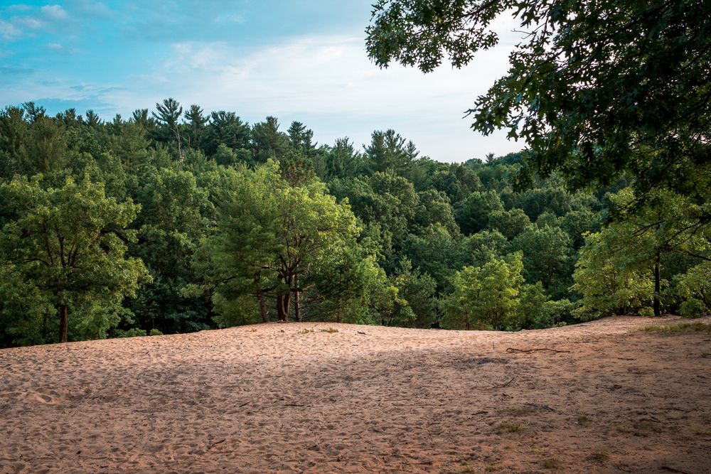 Lush greenery at Provin Trails Park