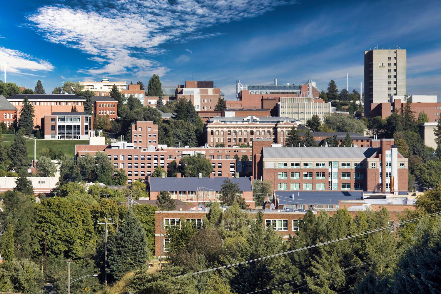 20 Best Things to Do in Pullman, WA Travel Lens