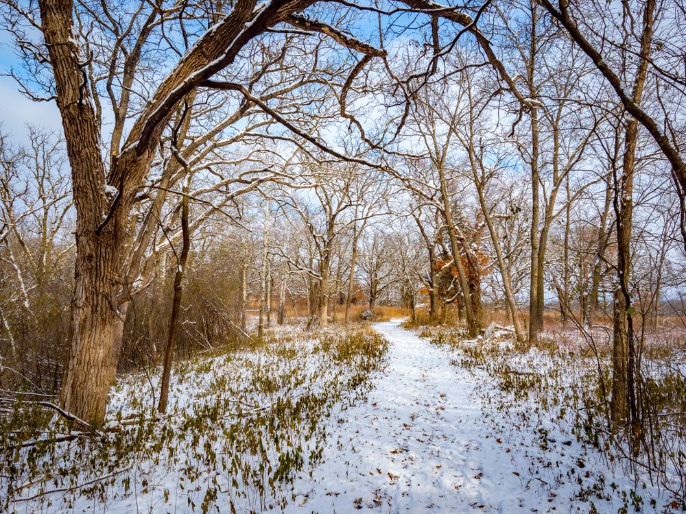Snow covered trail at Quarry Hill Nature Centre