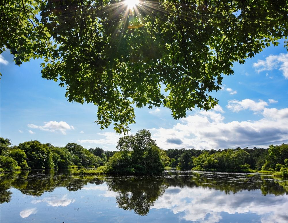 Scenic view of Quogue Wildlife Refuge