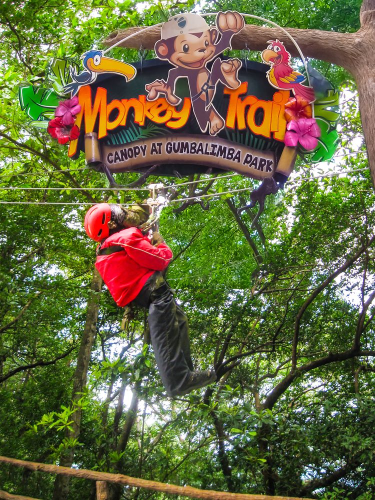 The monkey trail zip line at Gumbalimba Park