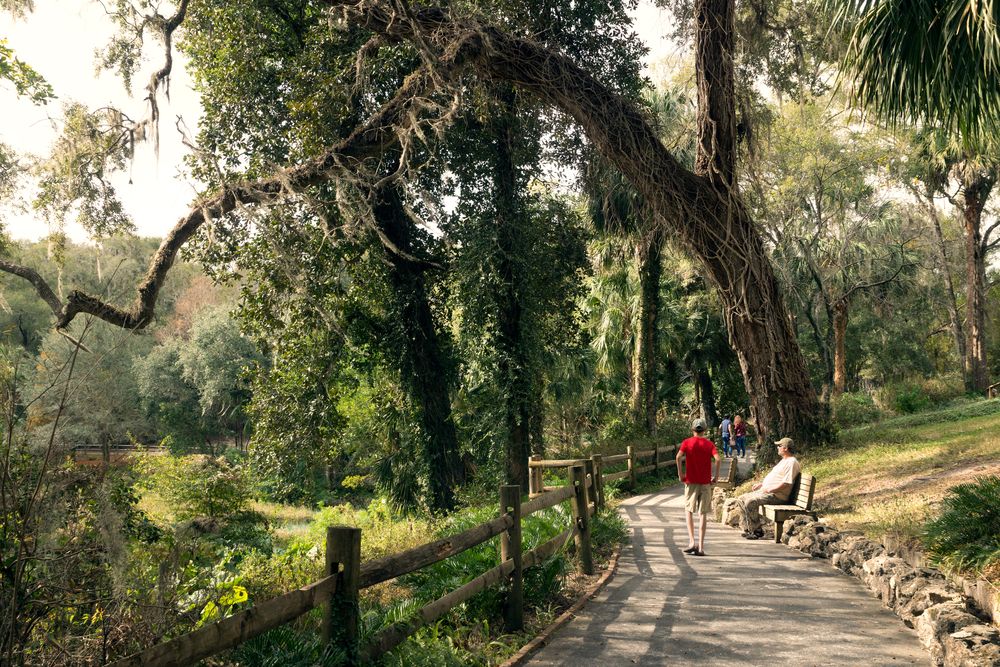 Trail at Rainbow Springs State Park