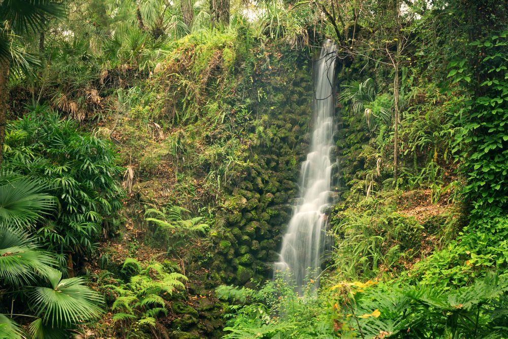 Scenic view of Rainbow spring state park