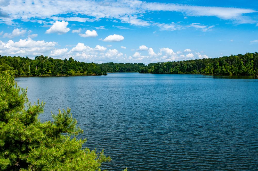 Picturesque view of Randleman Lake