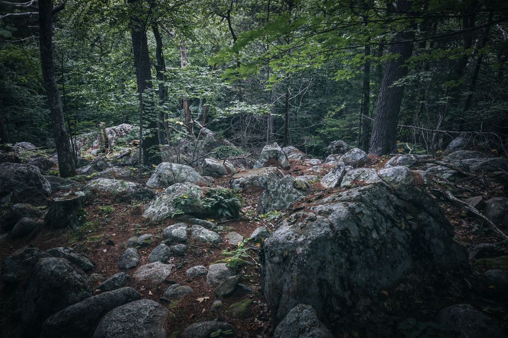 Boulders at Ravenswood park