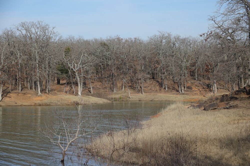 Ray Roberts Lake State Park on a bright sunny day