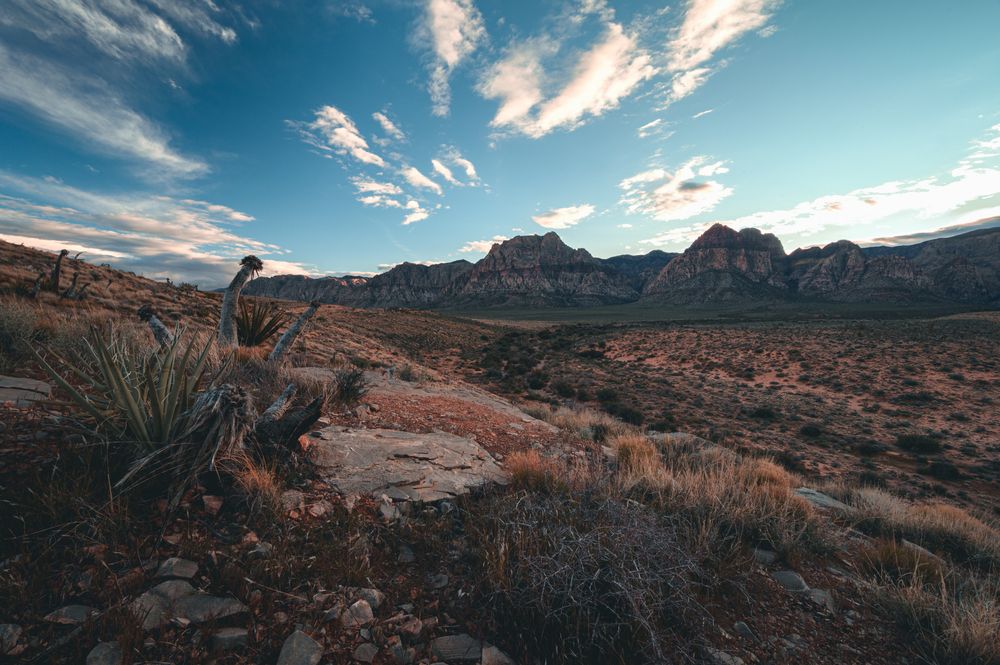 Scenic view from Red Rock Canyon Overlook