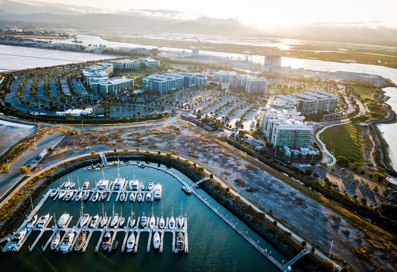 16 Best Things to Do in Redwood City, CA