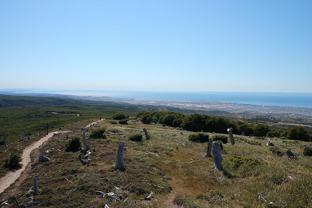 View of Magallanes National Reserve