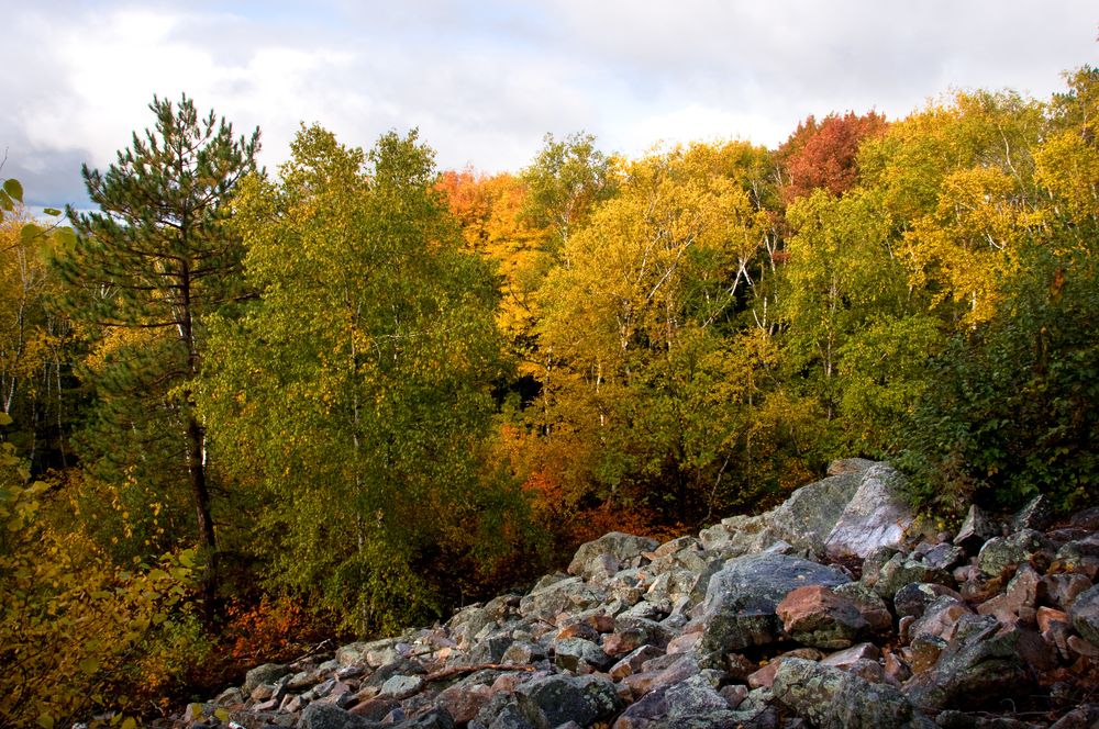 Scenic view of Rib Mountain State Park