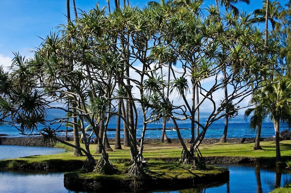 Richardson Ocean Park