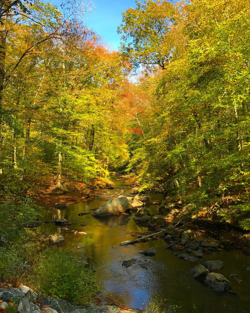 Scenic view of the Ridley Creek State Park