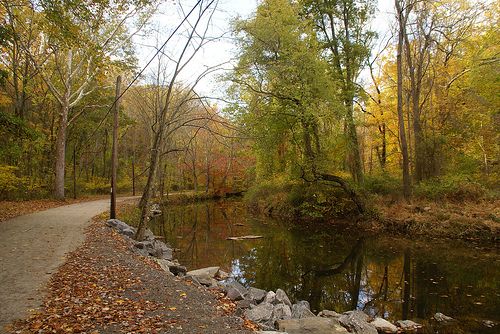 River flowing through the Ridley Creek State Park