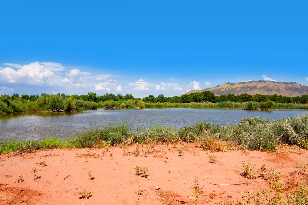 Landscape of the Rio Grande Nature Center State Park