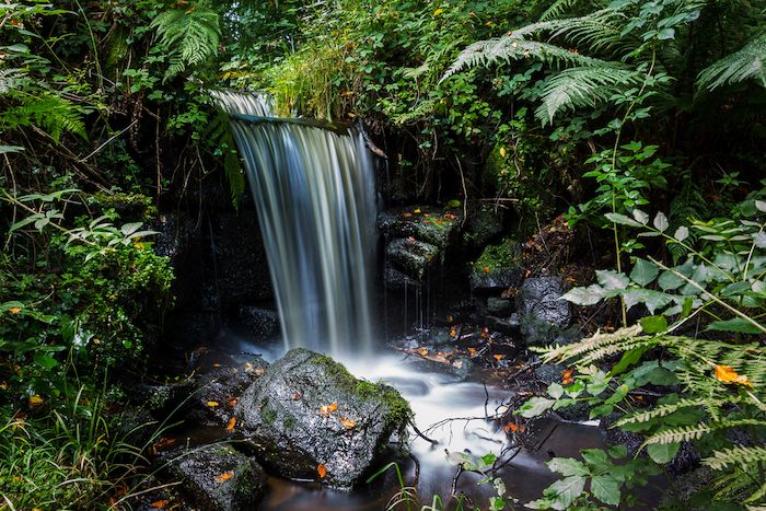 A beautiful waterfall in Rivelin Valley Nature Trail