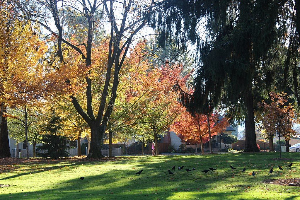 View of Riverside Park in Oregon