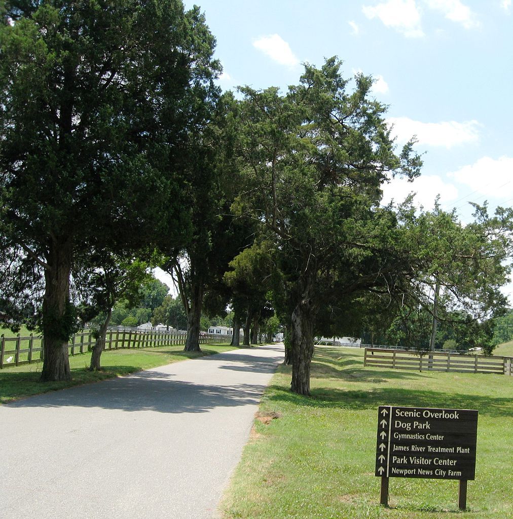 Pathway covered by the shade of trees at Riverview Farm Park
